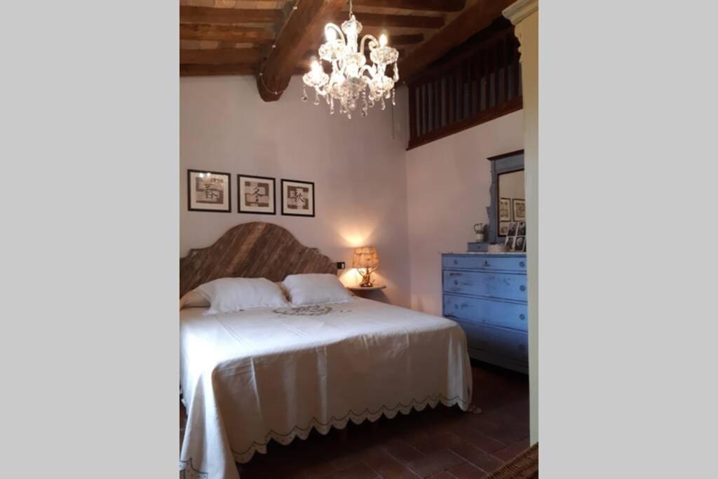 Antiche Fonti Apartment Bibbona Bagian luar foto