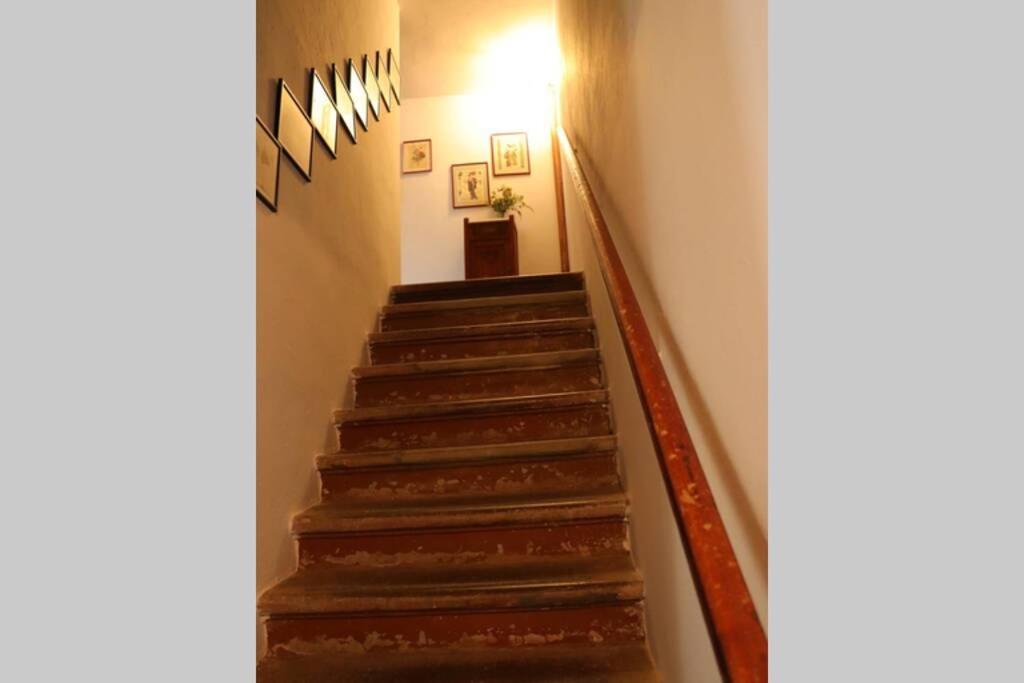 Antiche Fonti Apartment Bibbona Bagian luar foto