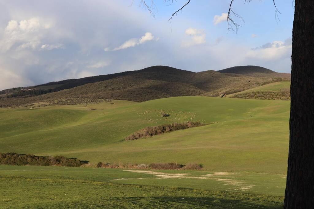 Antiche Fonti Apartment Bibbona Bagian luar foto